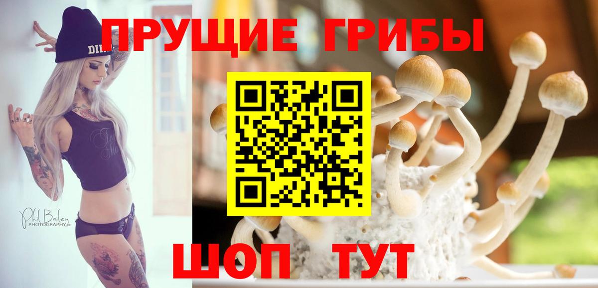 Саяногорск  Псилоцибиновые грибы мицелий  Вход с VPN 